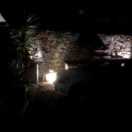 Nemo * リーヴァ・リーグレ