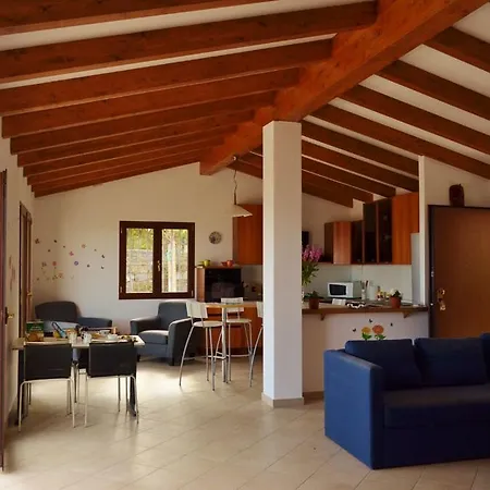 Nemo リーヴァ・リーグレ